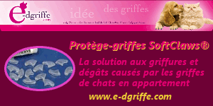 E-dgriffe