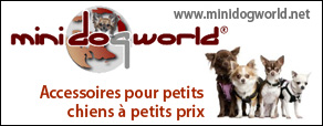 Mini Dog World