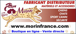 Morin France