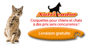 Nutricador