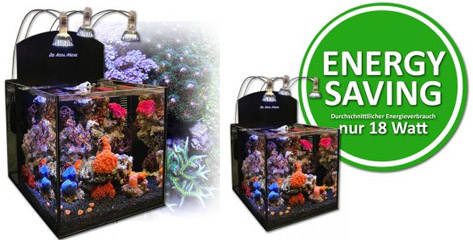 DENNERLE Nano Cube Complete+ 10 L nano-aquarium 20 x 20 x 25 cm avec  substrat, gravier, filtration et éclairage Nano Style LED S - Aquariums par  marques/Aquariums Dennerle -  - Aquariophilie